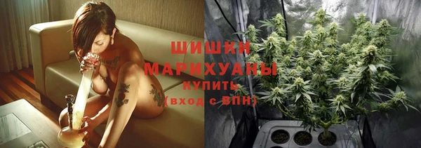 ECSTASY Дмитровск