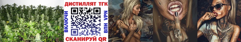 ТГК концентрат  закладки  Высоцк 
