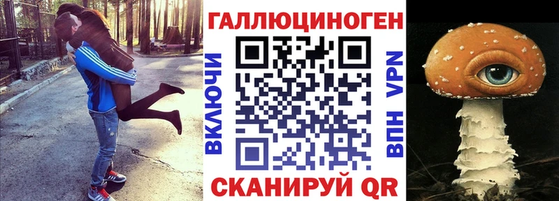 Псилоцибиновые грибы Psilocybe  Высоцк 
